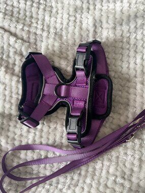 rabbitgoo Cat Harness and Leash for Walking, Escape Proof Soft Adjustable Vest